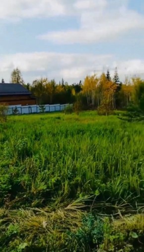 ДП Родной в Тавде - tavda.yutvil.ru - фото 1