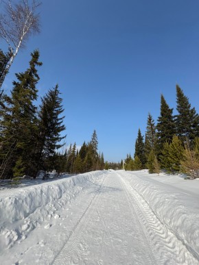 ДП Родной в Тавде - tavda.yutvil.ru - фото 7