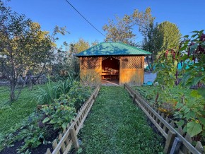 Екатеренбург сад Торгмаш, СНТ  Садовод, уч. 52 в Тавде - tavda.yutvil.ru - фото 10