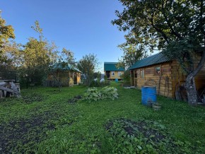 Екатеренбург сад Торгмаш, СНТ  Садовод, уч. 52 в Тавде - tavda.yutvil.ru - фото 14