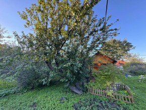 Екатеренбург сад Торгмаш, СНТ  Садовод, уч. 52 в Тавде - tavda.yutvil.ru - фото 17