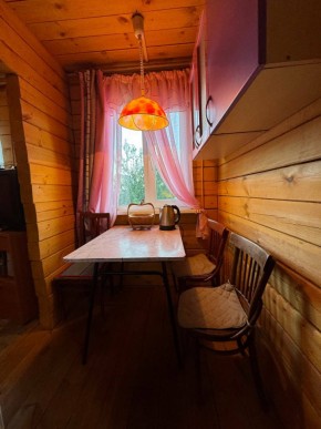 Екатеренбург сад Торгмаш, СНТ  Садовод, уч. 52 в Тавде - tavda.yutvil.ru - фото 5