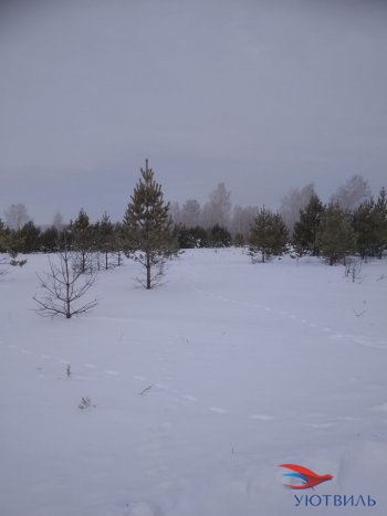 Земельный участок поселок Баженово в Тавде - tavda.yutvil.ru - фото 5