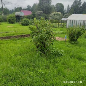г Верхняя пышма, СНТ Мираж, уч.№ 99 в Тавде - tavda.yutvil.ru - фото 11