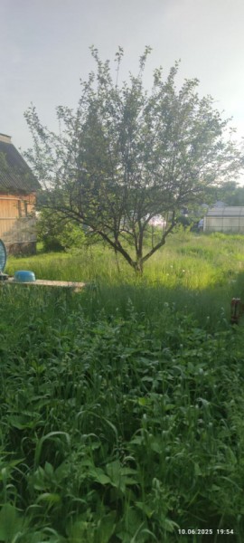 г Верхняя пышма, СНТ Мираж, уч.№ 99 в Тавде - tavda.yutvil.ru - фото 19