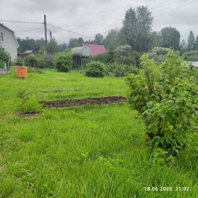 г Верхняя пышма, СНТ Мираж, уч.№ 99 в Тавде - tavda.yutvil.ru - фото 8