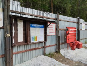 г.Верхняя Пышма СНТ №5 Березки в кв. 22 Среднеуральского Уралмашевского лесхоза в Тавде - tavda.yutvil.ru - фото 18