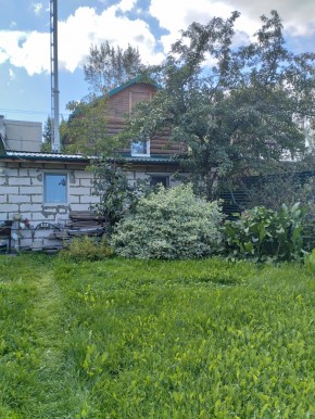 Коллективный сад номер 7, участок 58 в Тавде - tavda.yutvil.ru - фото 21