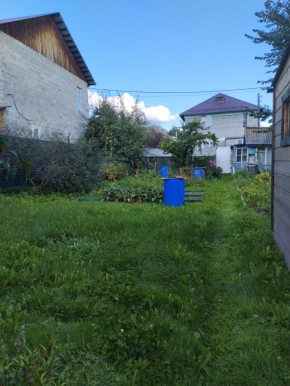 Коллективный сад номер 7, участок 58 в Тавде - tavda.yutvil.ru - фото 26
