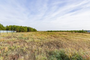 Российская Федерация, Свердловская область, Сысертский городской округ, территория садоводческого некоммерческого товарищества Бобровские дачи, улица Каштановая, земельный участок № 38 в Тавде - tavda.yutvil.ru - фото 16