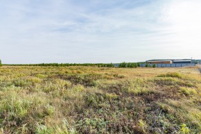 Российская Федерация, Свердловская область, Сысертский городской округ, территория садоводческого некоммерческого товарищества Бобровские дачи, улица Каштановая, земельный участок № 38 в Тавде - tavda.yutvil.ru - фото 24