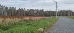 с. Новоалексеевское, КП Оникс,  в Тавде - tavda.yutvil.ru - фото 2