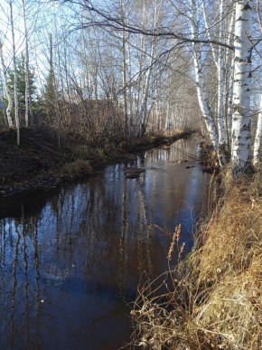 СНТ Берёзка в Тавде - tavda.yutvil.ru - фото 14