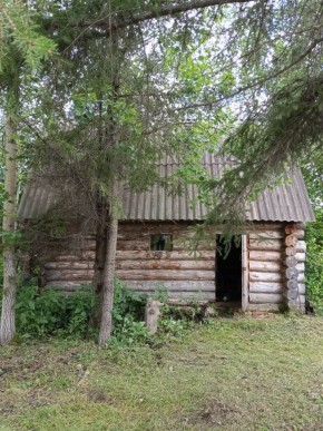 СНТ Калининец-10, уч. 1-11-3 в Тавде - tavda.yutvil.ru - фото 2 СНТ Калининец-10, уч. 1-11-3 в Тавде - tavda.yutvil.ru - фото 2