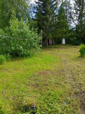 СНТ Калининец-10, уч. 1-11-3 в Тавде - tavda.yutvil.ru - фото 10 СНТ Калининец-10, уч. 1-11-3 в Тавде - tavda.yutvil.ru - фото 10