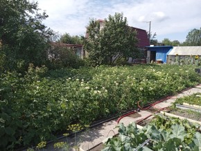 СНТ Медик-2 в Тавде - tavda.yutvil.ru - фото 6