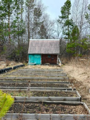 СНТ Родники в Тавде - tavda.yutvil.ru - фото 7 СНТ Родники в Тавде - tavda.yutvil.ru - фото 7