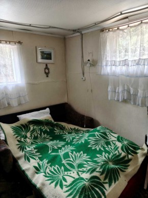 СНТ Родники в Тавде - tavda.yutvil.ru - фото 10 СНТ Родники в Тавде - tavda.yutvil.ru - фото 10