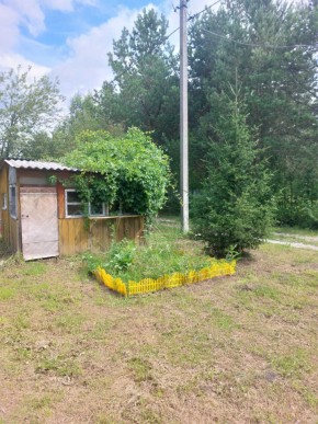 СНТ Родники в Тавде - tavda.yutvil.ru - фото 2 СНТ Родники в Тавде - tavda.yutvil.ru - фото 2