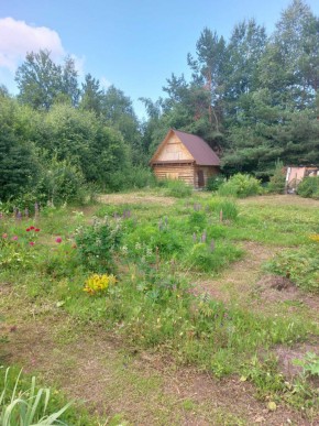 СНТ Родники в Тавде - tavda.yutvil.ru - фото 3 СНТ Родники в Тавде - tavda.yutvil.ru - фото 3