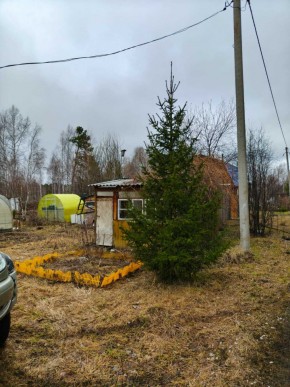 СНТ Родники в Тавде - tavda.yutvil.ru - фото 5 СНТ Родники в Тавде - tavda.yutvil.ru - фото 5