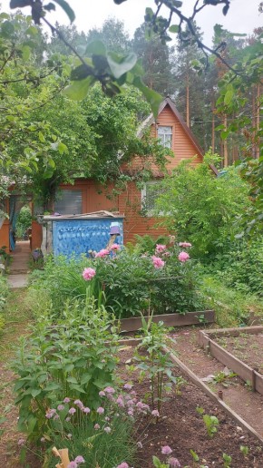 СНТ Садовод-24 в Тавде - tavda.yutvil.ru