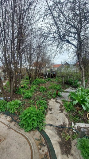 СНТ Сирень, уч. 38 в Тавде - tavda.yutvil.ru - фото 7