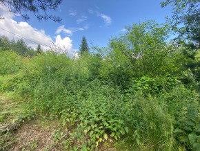 СПК Юбилейный, уч. 9 в Тавде - tavda.yutvil.ru - фото 7