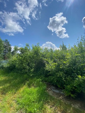 СПК Юбилейный, уч. 9 в Тавде - tavda.yutvil.ru - фото 8