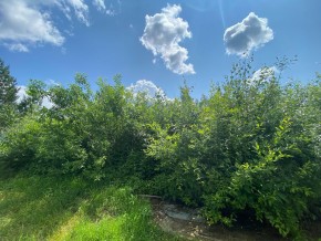СПК Юбилейный, уч. 9 в Тавде - tavda.yutvil.ru - фото 9