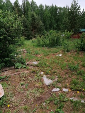 СТН Семья №112, Верхняя пышма на землях бывшего подсобного хозяйтва верхнепышминского опытного завода в Тавде - tavda.yutvil.ru - фото 17