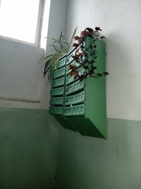 ул. Бажова,11 в Тавде - tavda.yutvil.ru - фото 3 ул. Бажова,11 в Тавде - tavda.yutvil.ru - фото 3