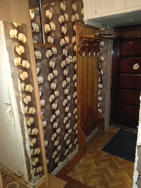 ул. Бажова,11 в Тавде - tavda.yutvil.ru - фото 9 ул. Бажова,11 в Тавде - tavda.yutvil.ru - фото 9