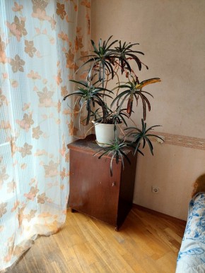 ул. Индустрии,29 в Тавде - tavda.yutvil.ru - фото 4 ул. Индустрии,29 в Тавде - tavda.yutvil.ru - фото 4