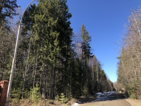 ул. Калиновая,9 в Тавде - tavda.yutvil.ru - фото 3