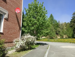 ул. Сосновая, 8 в Тавде - tavda.yutvil.ru - фото 25 ул. Сосновая, 8 в Тавде - tavda.yutvil.ru - фото 25