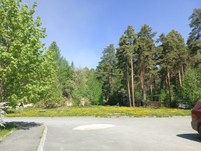 ул. Сосновая, 8 в Тавде - tavda.yutvil.ru - фото 26 ул. Сосновая, 8 в Тавде - tavda.yutvil.ru - фото 26