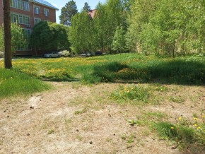 ул. Сосновая, 8 в Тавде - tavda.yutvil.ru - фото 33 ул. Сосновая, 8 в Тавде - tavda.yutvil.ru - фото 33