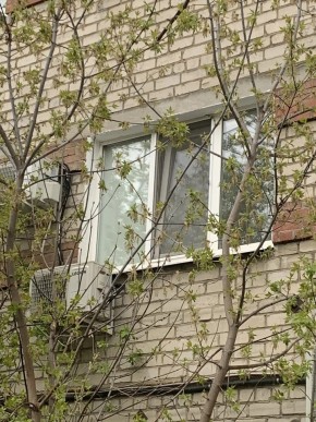ул. Таганская,8 в Тавде - tavda.yutvil.ru - фото 14