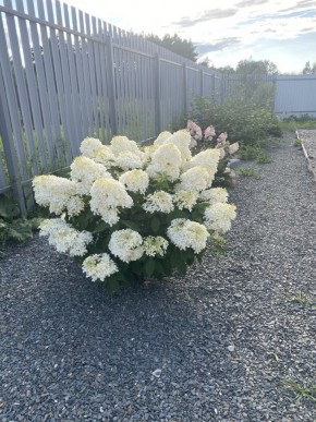 ул. Весенняя,12 в Тавде - tavda.yutvil.ru - фото 20